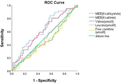 Impact of Myocardial Energy Expenditure and Diastolic Dysfunction on One Year Outcome Patients With HFpEF